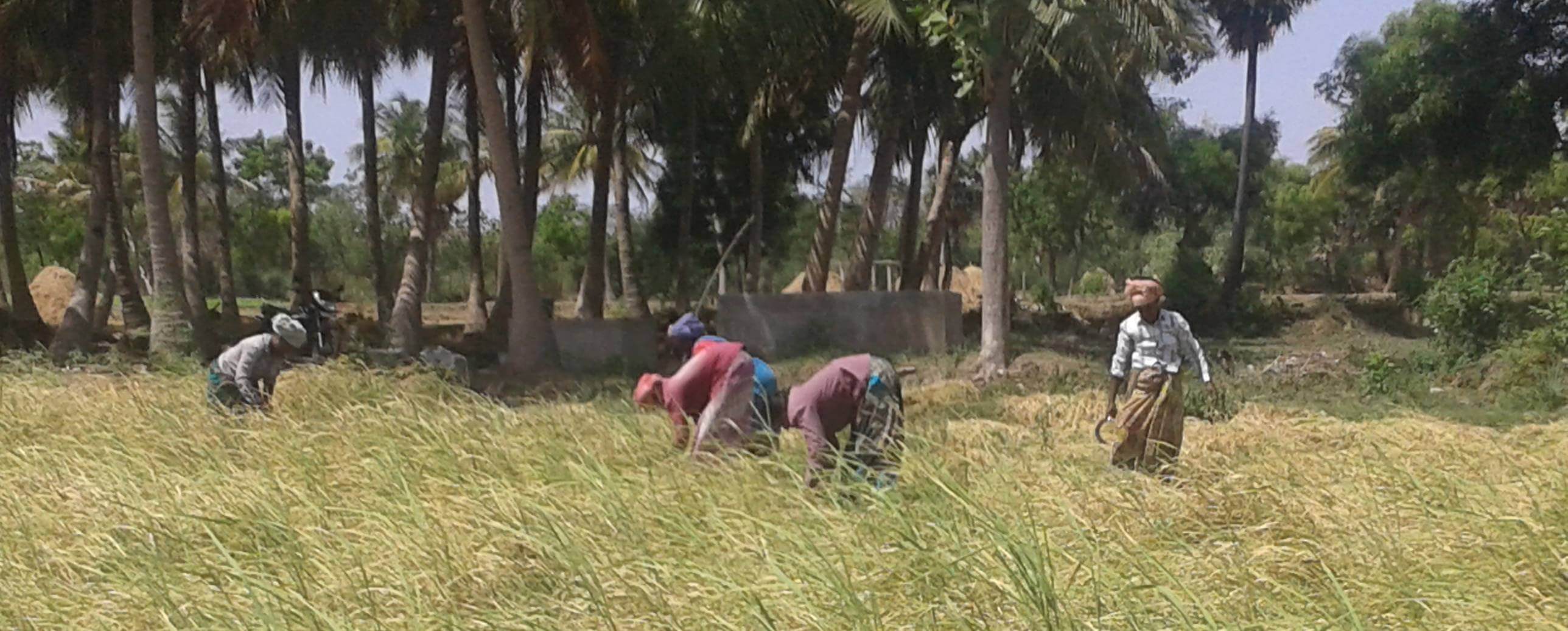 Sustainable Agriculture & Organic Farming