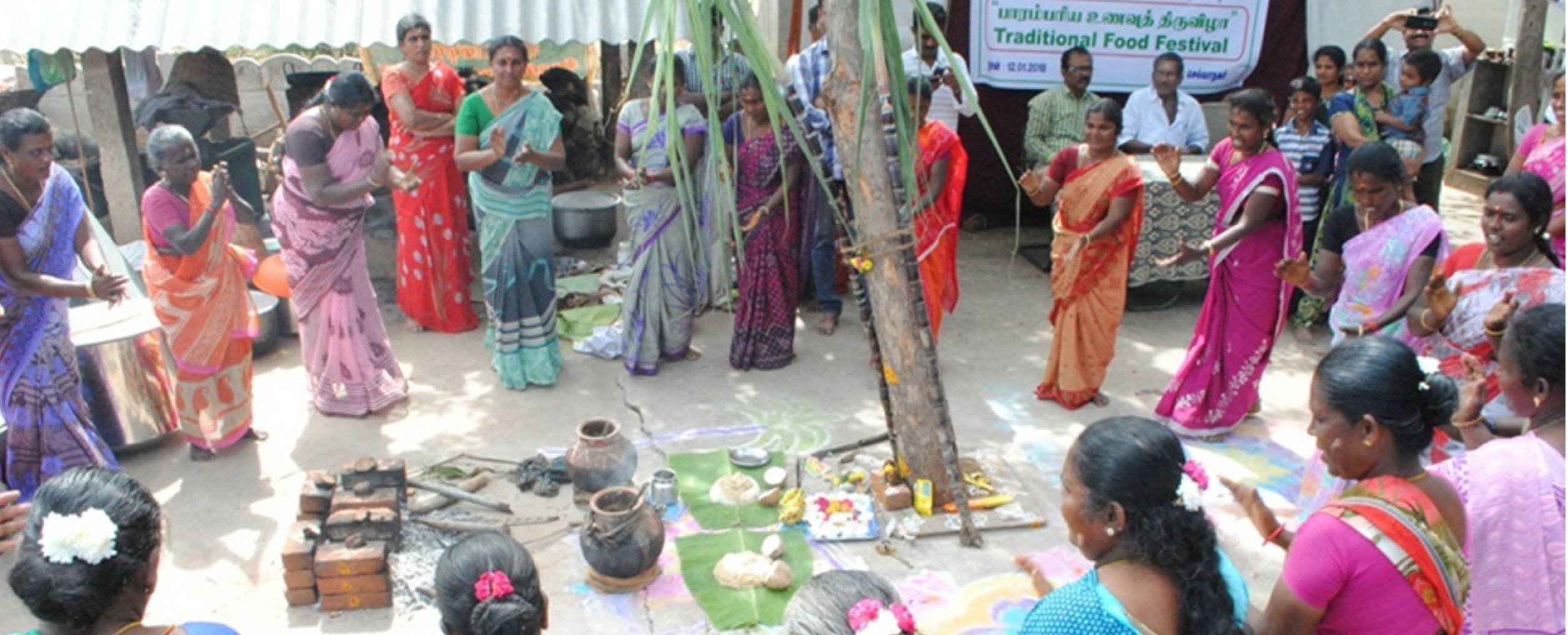 Sustainable Agriculture & Organic Farming