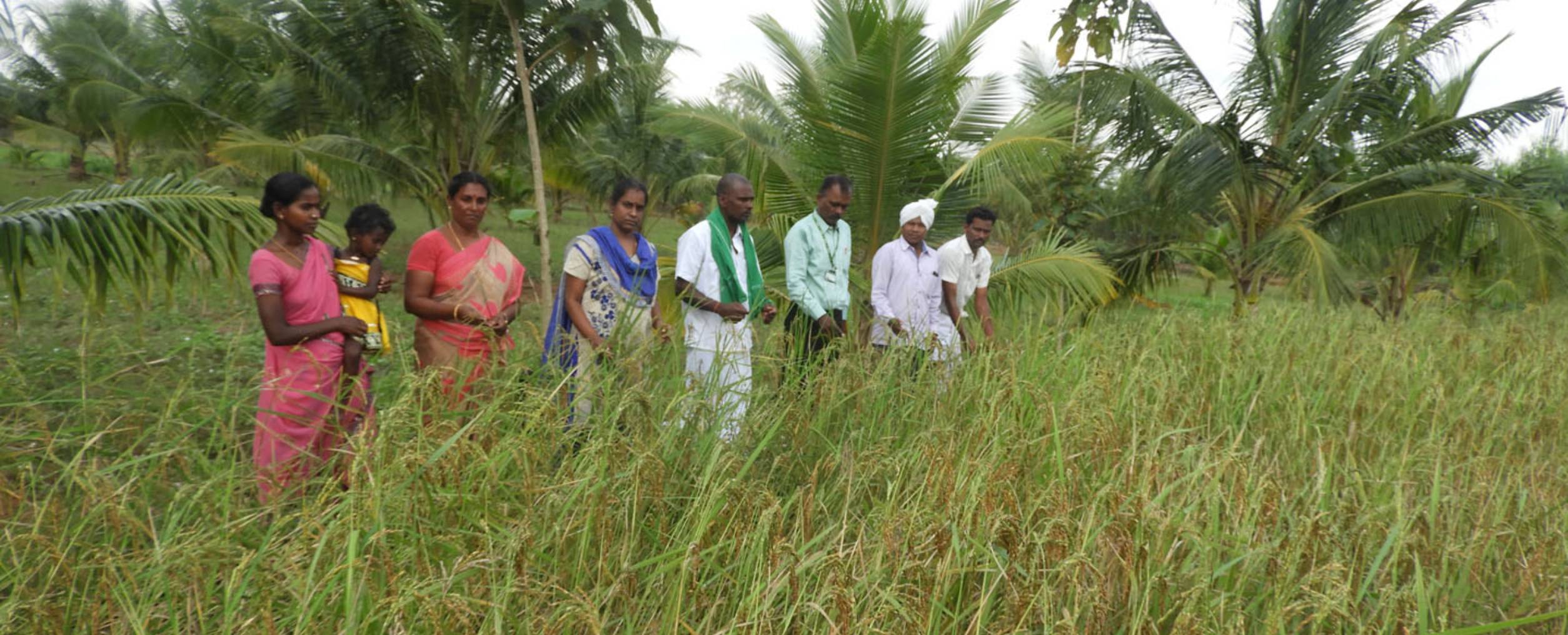 Sustainable Agriculture & Organic Farming