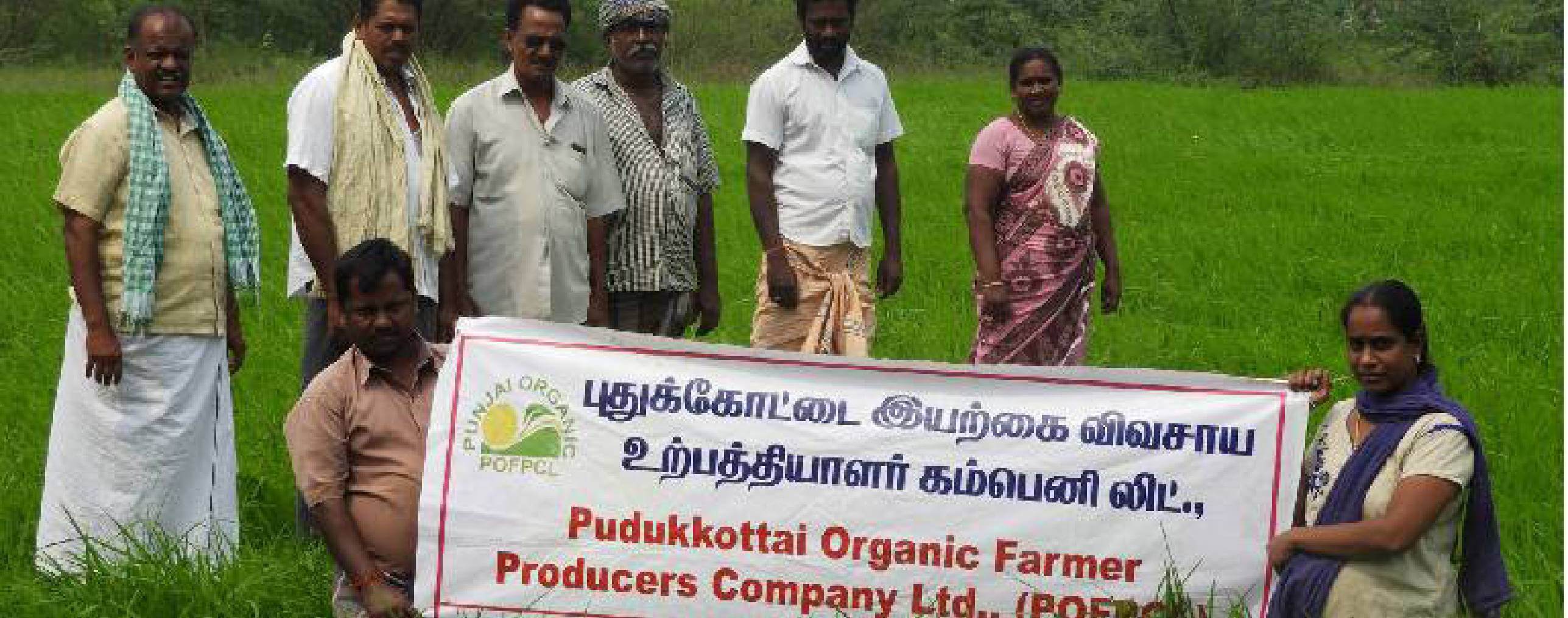 Sustainable Agriculture & Organic Farming
