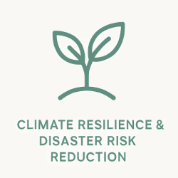 Climate Resilience Icon